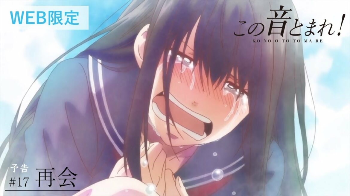 「再会」 | この音とまれ! |  第17話 予告