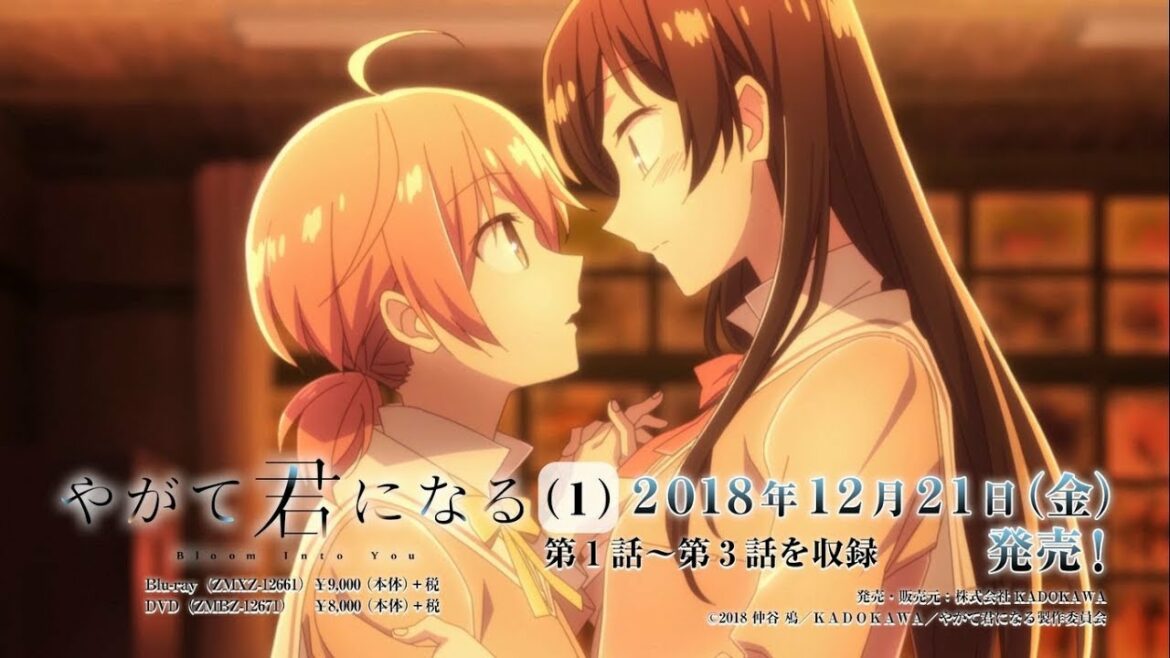 TVアニメ『やがて君になる』 Blu-ray/DVD発売告知映像(OP ver.)