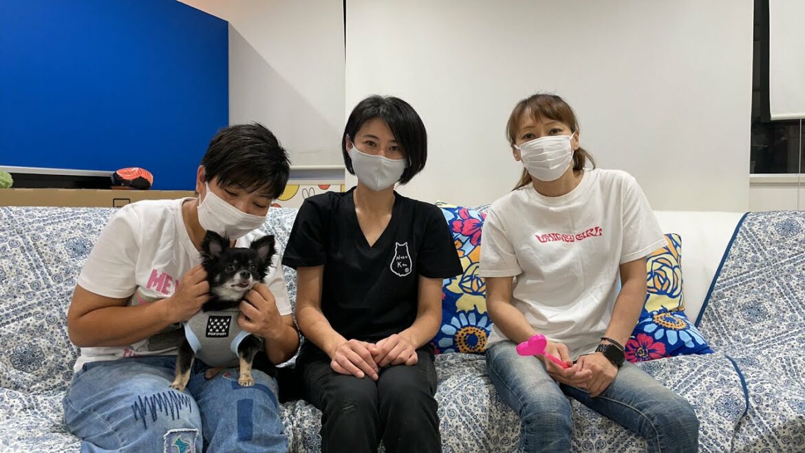 【ライブアーカイブ】3団体代表コラボ!!