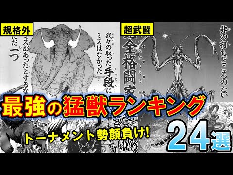 バキ 全猛獣の強さランキング 夜叉猿などはかわいそうな扱いばかり 範馬刃牙 Anime Wacoca Japan People Life Style