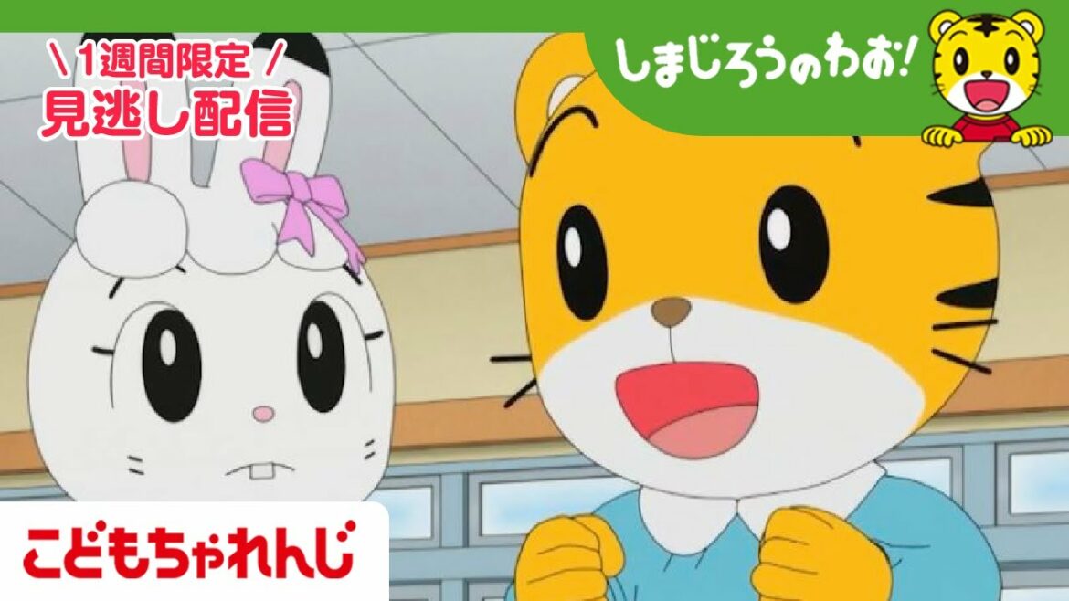 【見逃し配信】テレビ番組「しまじろうのわお!」#490|アニメ「たのしいドッジボールボール」、「できるのいろいろ」他 【しまじろうチャンネル公式】