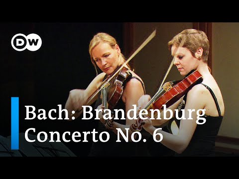 Johann Sebastian Bach: Brandenburg Concerto No. 6, BWV 1051 | Orchestra Mozart