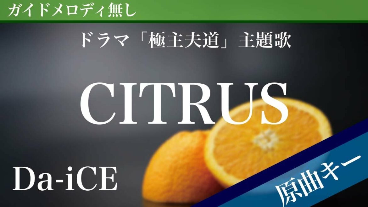 【ピアノ伴奏】CITRUS / Da-iCE ドラマ「極主夫道」主題歌