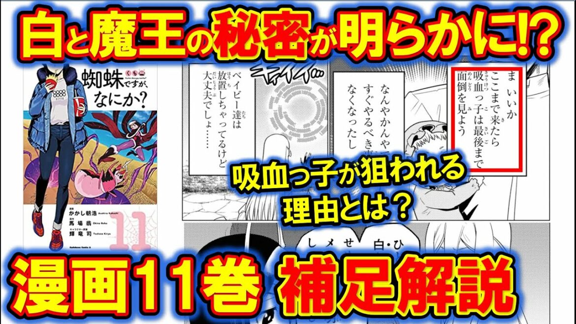 漫画最新11巻補足解説!ソフィアが狙われる理由とアリエル号泣の真意とは?【蜘蛛ですが、なにか?】