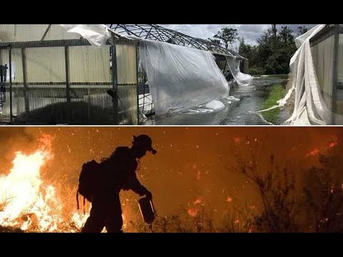 Set Up For a Food Disaster (Ryder Lee 1/3)