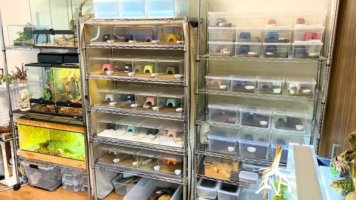 一部屋で100匹以上のペットと暮らす男の家が楽し過ぎた・・・!