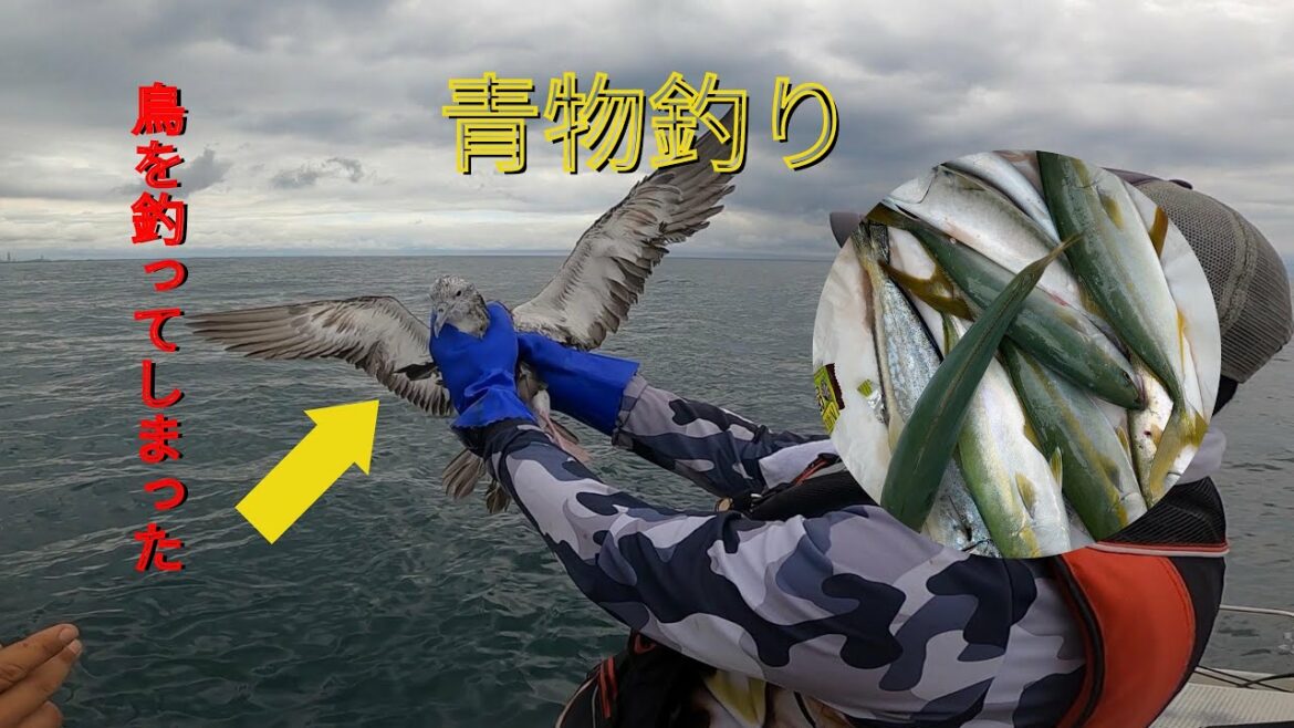 Pesca em Alto Mar do Japão! 船で青物狙い、17cmのミノー使って小型の青物釣れるでしょうか?