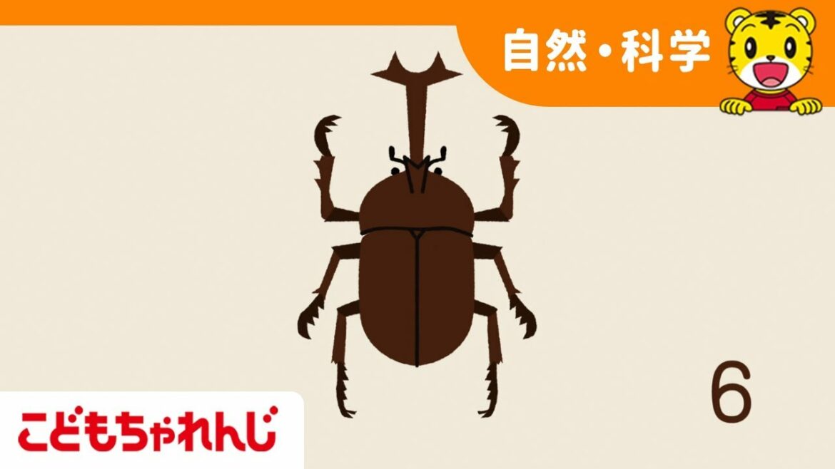 こんちゅうのうた  【しまじろうチャンネル公式】