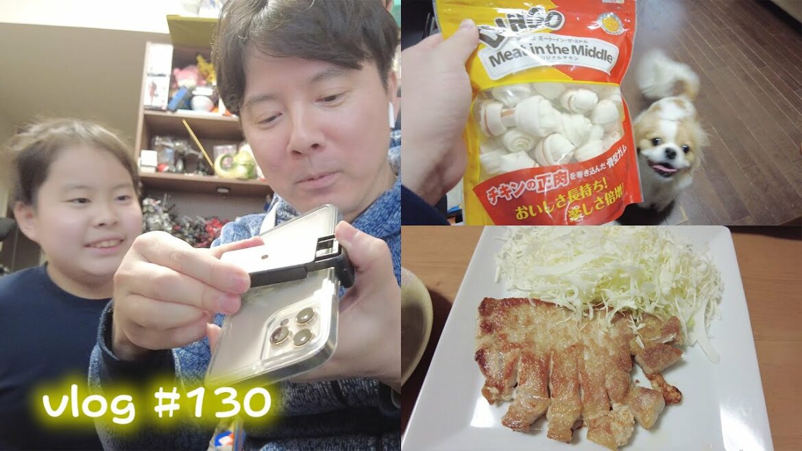 ゾイドが売ってない(汗) #130 vlog まえちゃんねる びろぐ