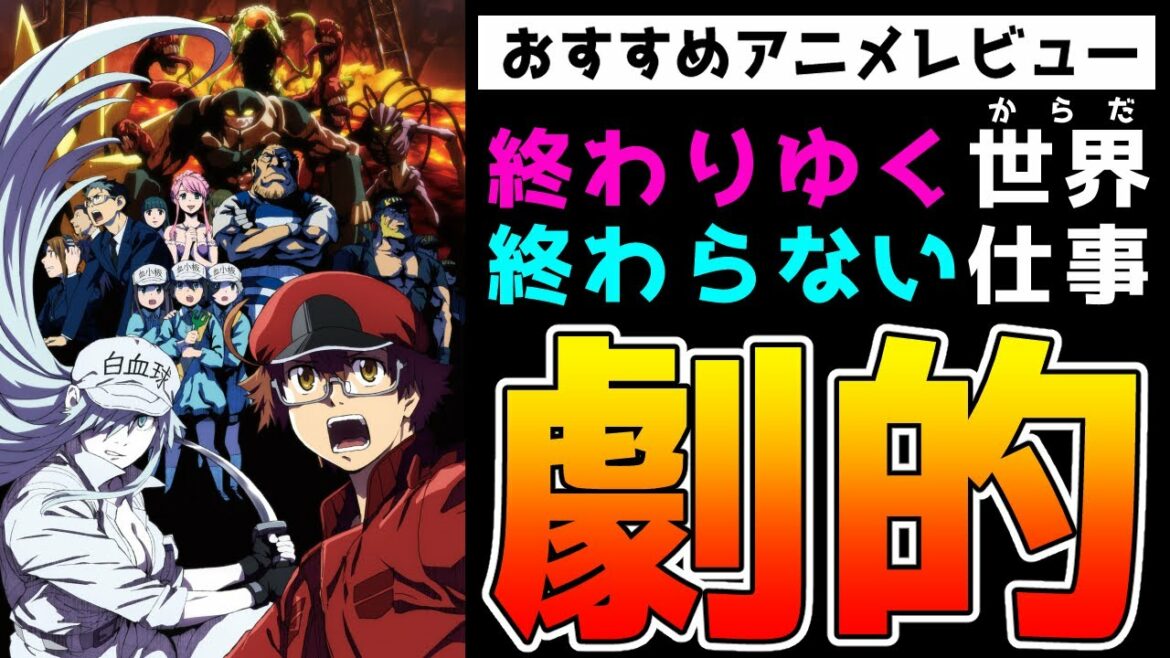 【おすすめアニメレビュー】働けど働けど楽にならず『はたらく細胞BLACK』