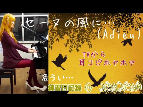 ルパン三世PART5 ED『セーヌの風に…(Adieu)』うたってみた by NON NONฅ