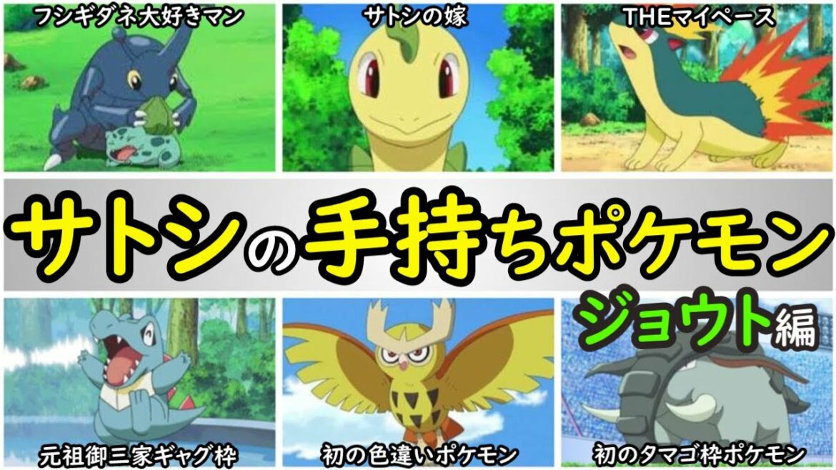 【歴史】サトシの手持ちポケモンを解説【無印・ジョウト編】アニポケの歴史「ピカチュウ」「ヘラクロス」「ベイリーフ」「ヒノアラシ」「ワニノコ」「ヨルノズク」「ドンファン」
