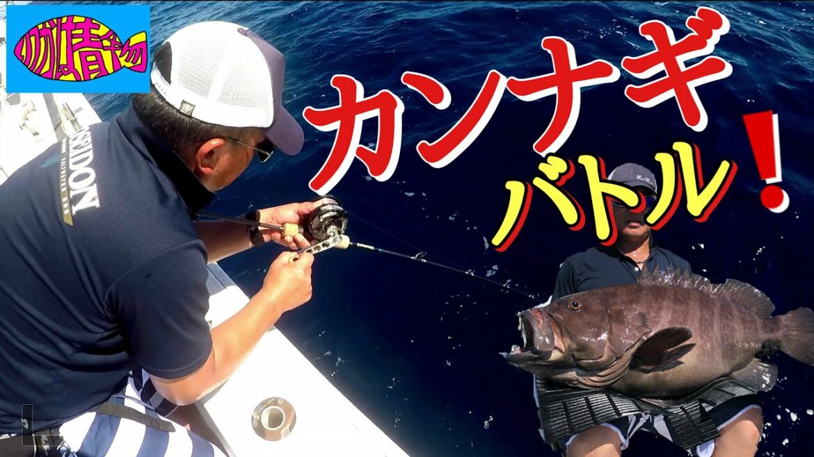 【連発】大物高級根魚バトル❗