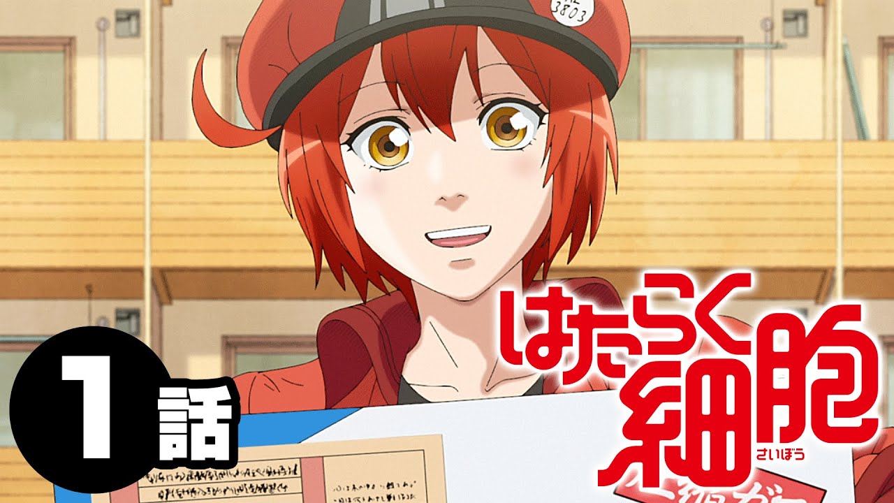 1話 はたらく細胞 1 5話まで冬休み期間限定公開 22 1 7 金 まで 公式アニメ Anime Wacoca Japan People Life Style