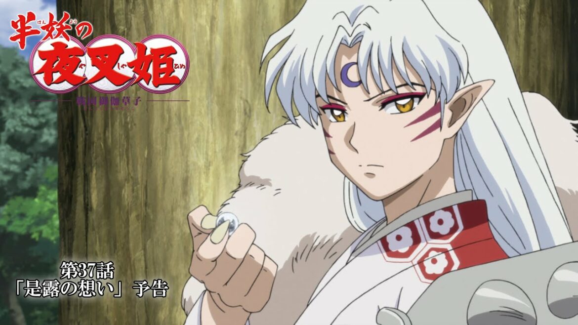 半妖の夜叉姫l37話「是露の想い」l予告