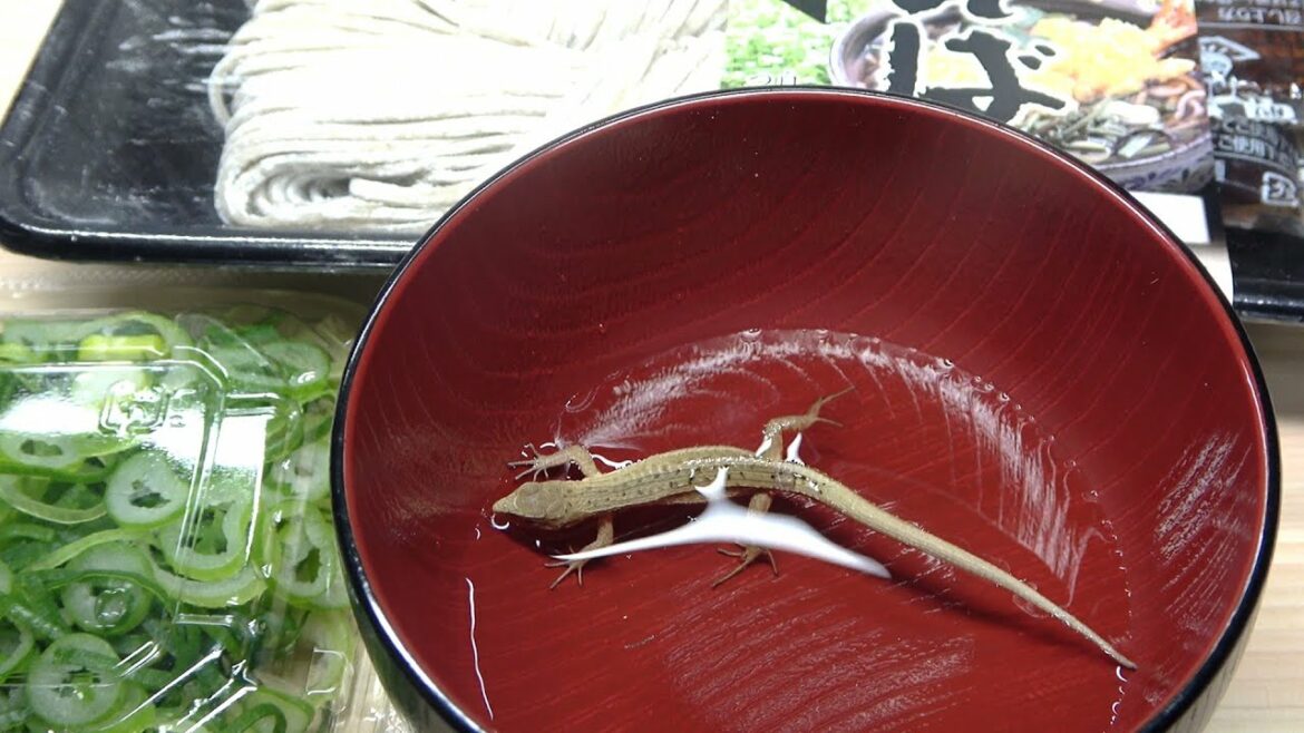 ペットのカナヘビで出汁をとって年越しそばを作る