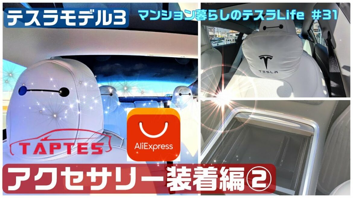 TAPTES(ベイマックスステッカー)/ AliExpress(コンソールトレイ)装着編 /テスラ モデル3 #31