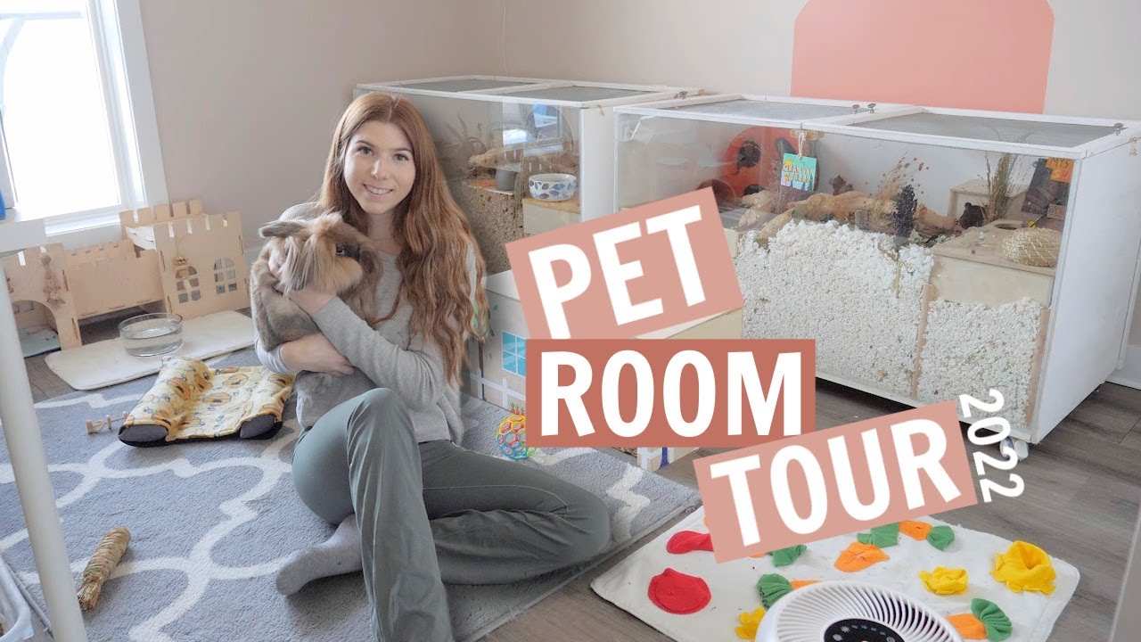 The petting room