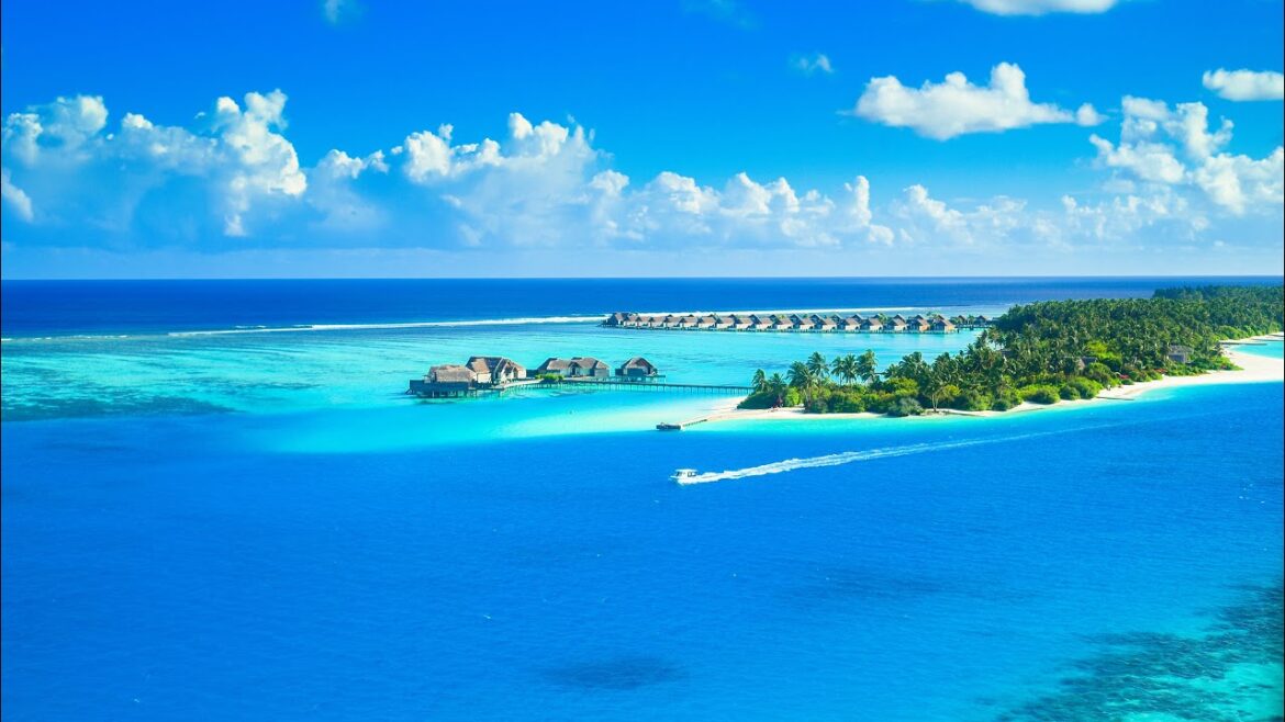 Ibiza Summer Mix 2022 🍓 Best Of Tropical Deep House Music Chill Out Mix 2022 🍓 Chillout Lounge #158