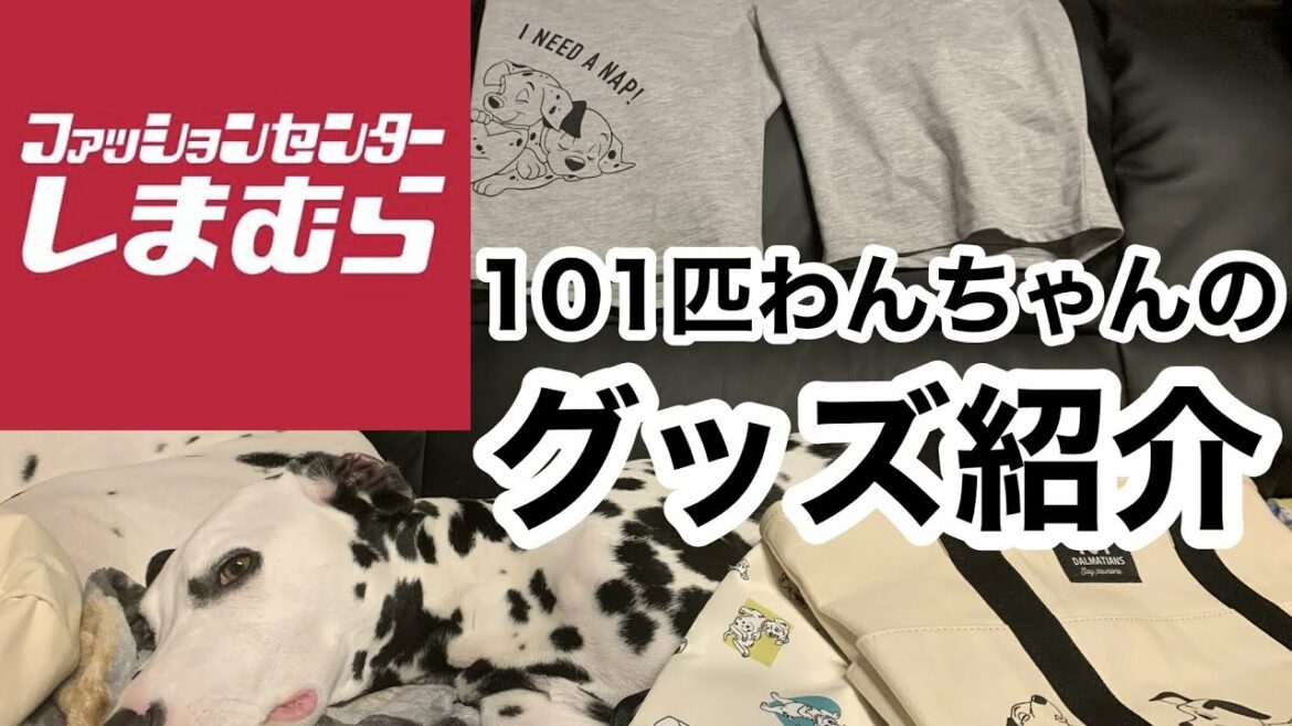 【101匹わんちゃんのグッズ】しまむらで発売している商品を子どもと犬と一緒に紹介します。#ダルメシアン#しまむら#101匹わんちゃん