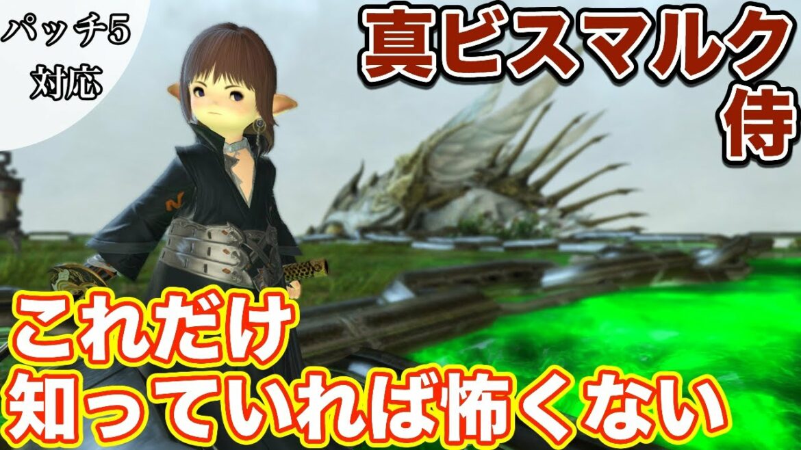 【FF14】真ビスマルク討滅戦に侍(DPS)で挑戦【これだけ知っていれば怖くない パッチ5】