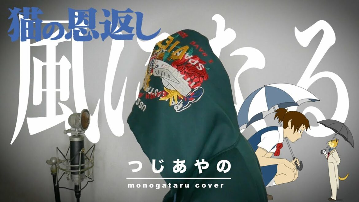【猫の恩返し】風になる / つじあやの (cover)