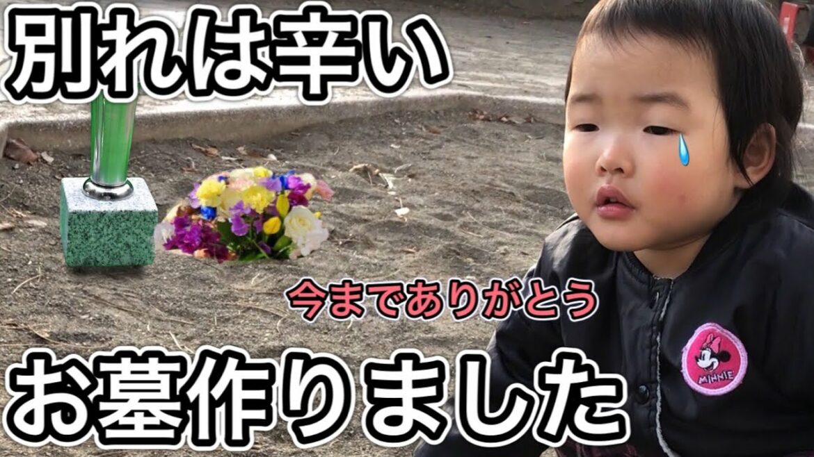 2歳だって別れは辛いよね…ここちゃんと一緒にお墓を作りました…
