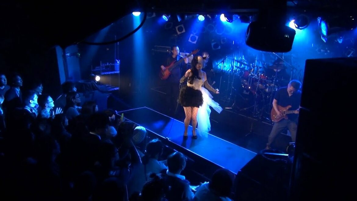 MACROSS PLUS  Covered by  BABA TestFlighters