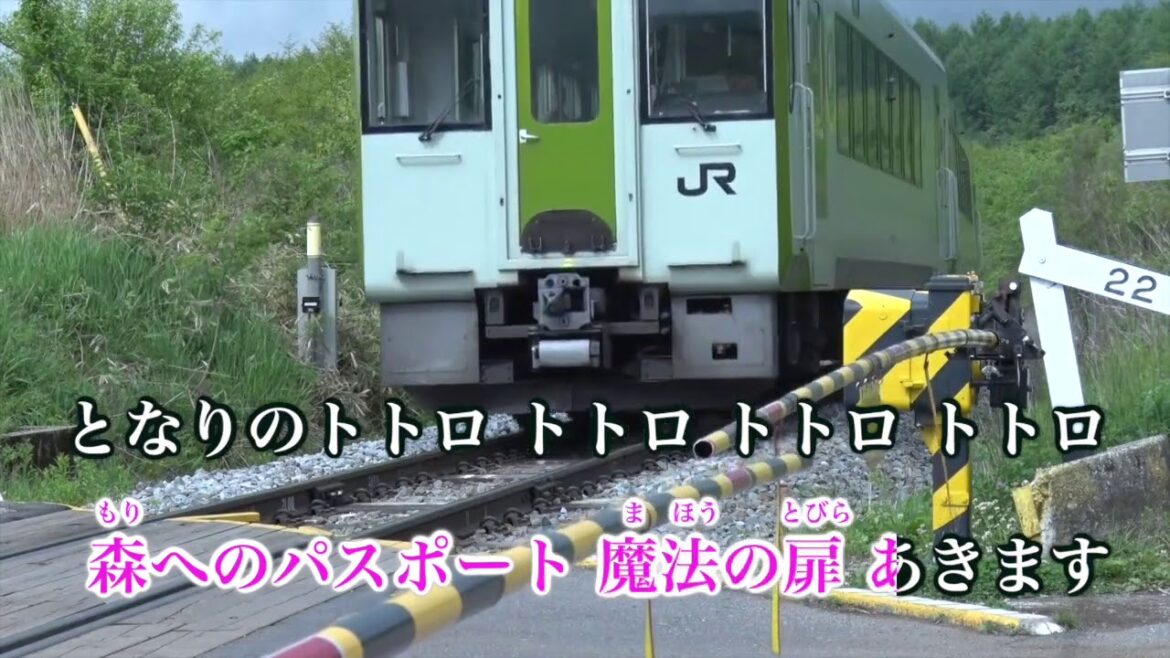 【カラオケ】となりのトトロ/井上あずみ【高音質 カラオケ 練習用】