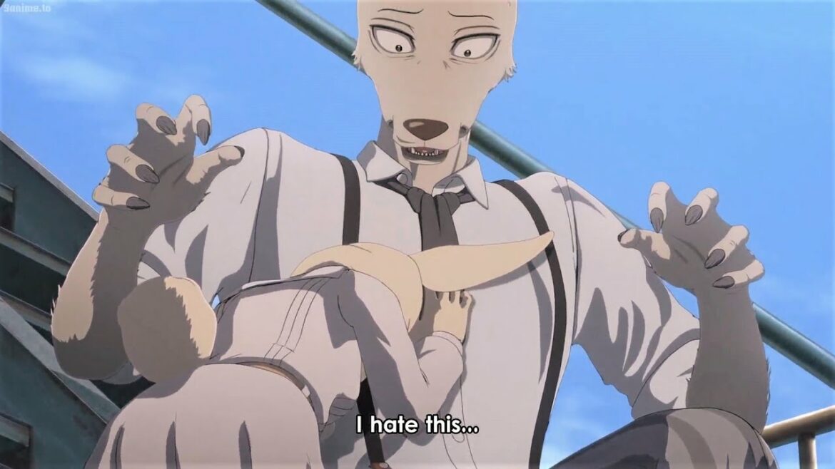 Beastars 2期 #144 The moment Haru crawled into Legoshi's lap was so warm and happy   ~ ビースターズ 2期