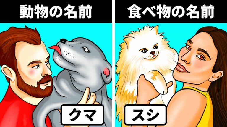 珍しい動物 Anime Wacoca Japan People Life Style