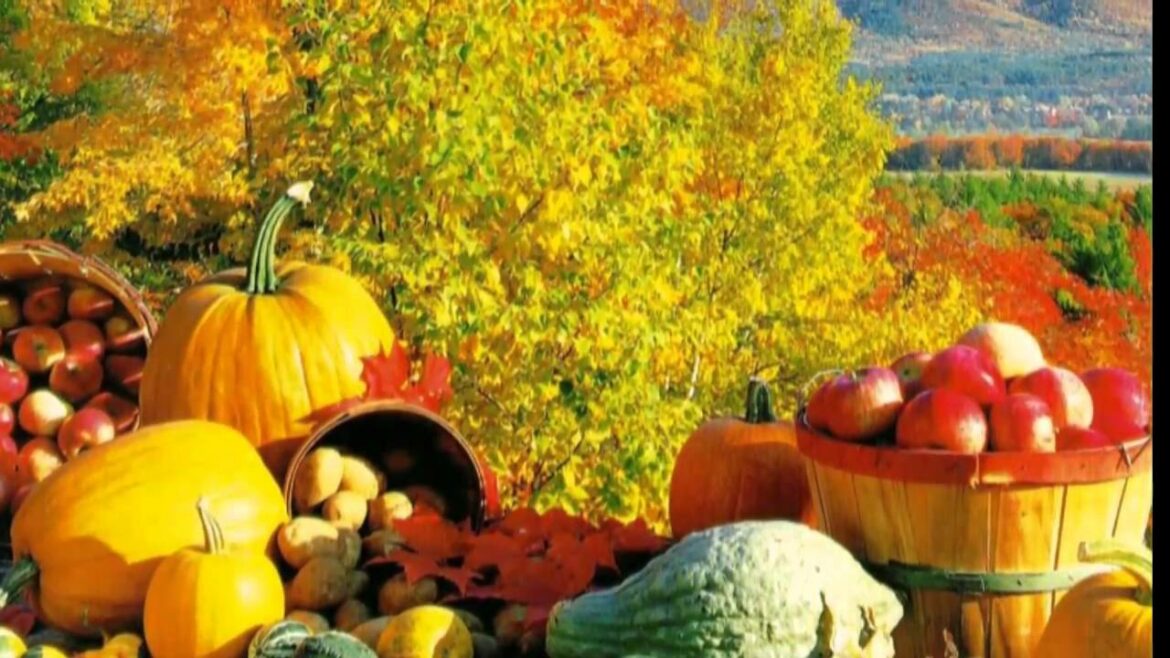 (HD 720p) Vivaldi – Four Seasons, Autumn (No.3  in F Major – 1st Movement – Allegro)