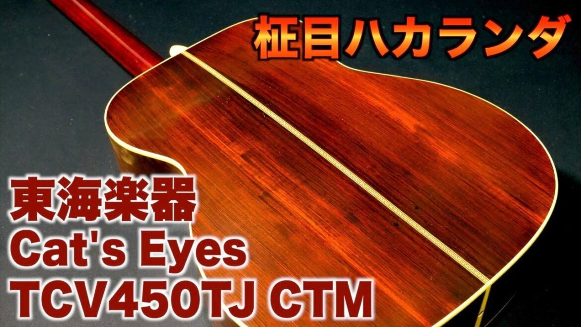 東海楽器 Cat's Eyes(キャッツアイ)TCV450TJ CUSTOM made in Japan Jacaranda guitar(完全予約制 名古屋アコギ専門店 オットリーヤギター)