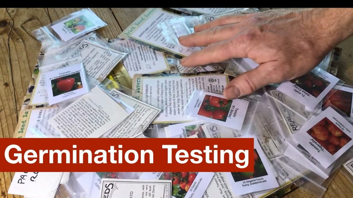 Are These Seeds Worth Keeping or Growing?