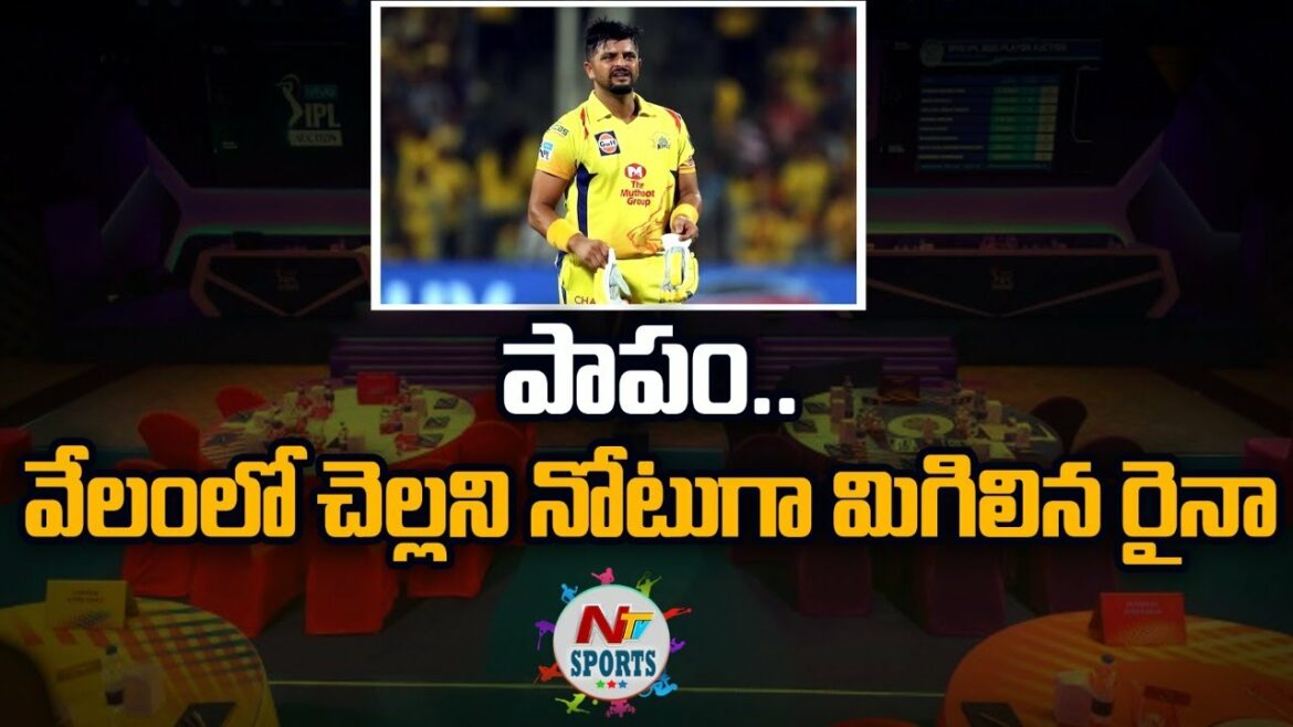 These players including Suresh Raina remain unsold | NTVSPORTS