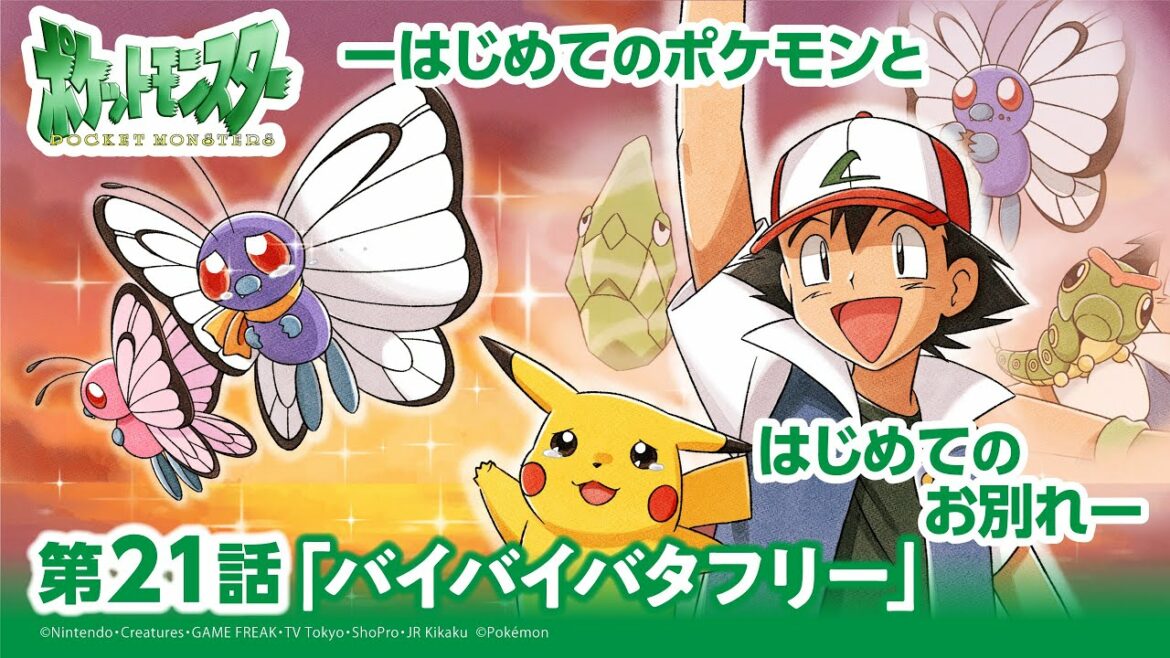 【公式】アニメ「ポケットモンスター」第21話「バイバイバタフリー」(アニポケセレクション)