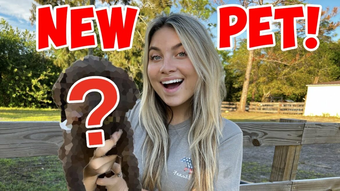 WE GOT A NEW PET! SO CUTE