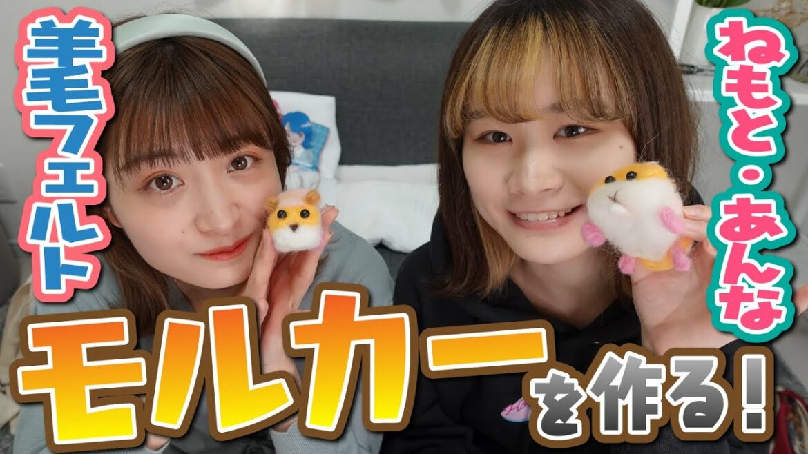 【PUI PUIモルカー】羊毛フェルト初心者が爆速でモルカー作ってみた❗️