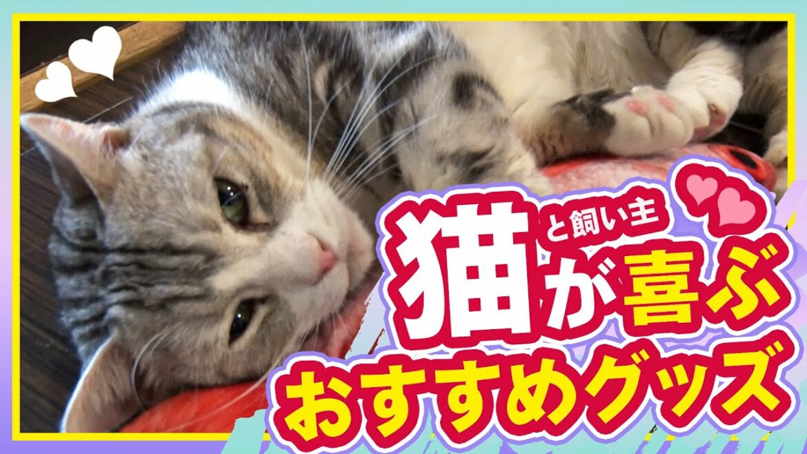 【猫の日】【猫】猫と飼い主が喜ぶおすすめグッズ