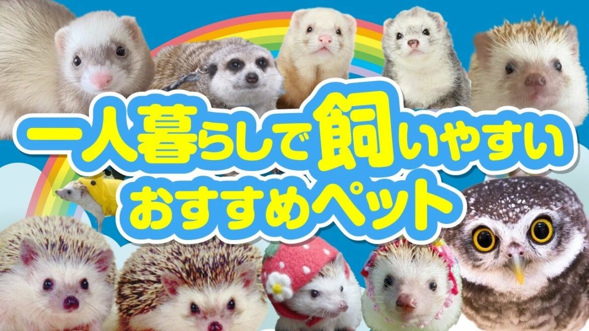一人暮らしでも飼いやすいペット ピックアップ3