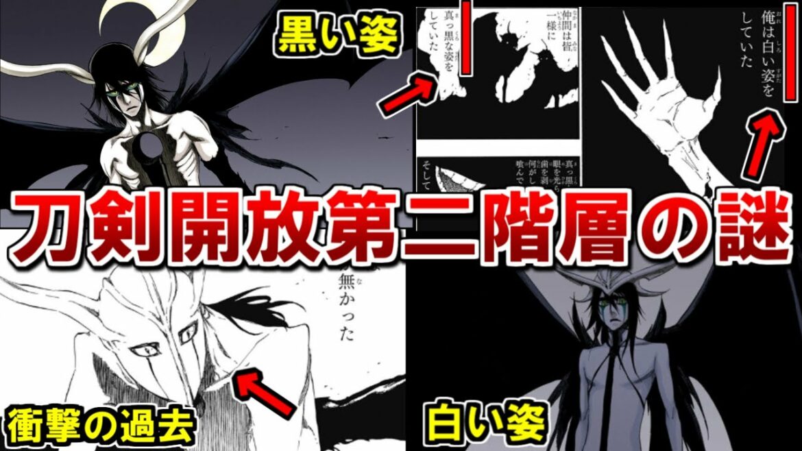 【BLEACH】ウルキオラの帰刃『黒翼大魔』が異質すぎる…!原作未公開の過去から刀剣解放第二階層の秘密が!?【ブリーチ考察】