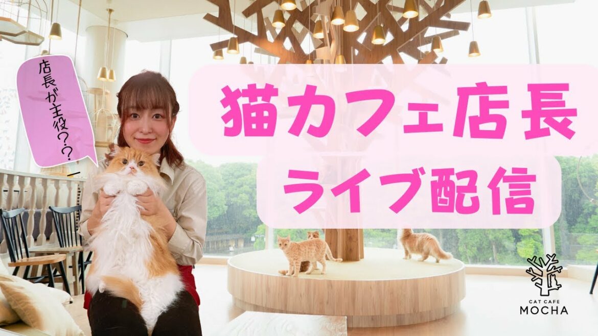 【初見さん大歓迎】店長のこんちゃんとまったり雑談ライブ✨2/26 part1