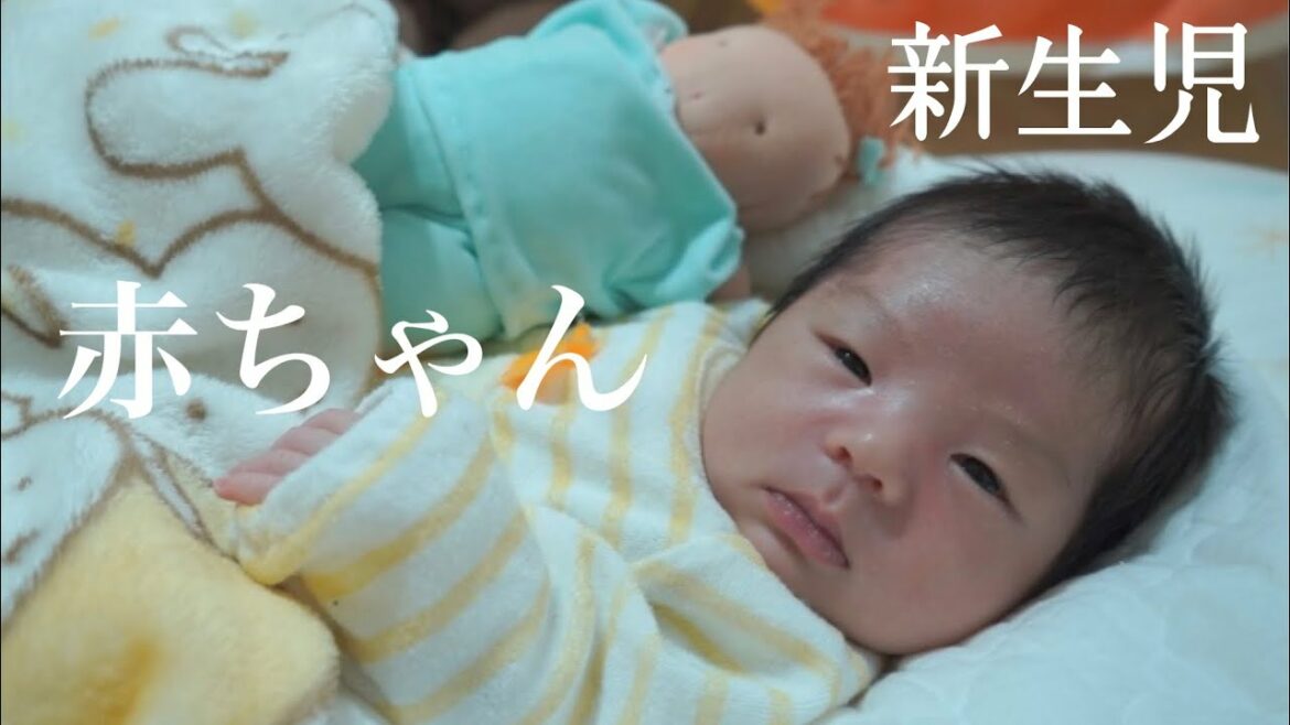 Lz7owgqnf 2dlm Lz7owgqnf 2dlm