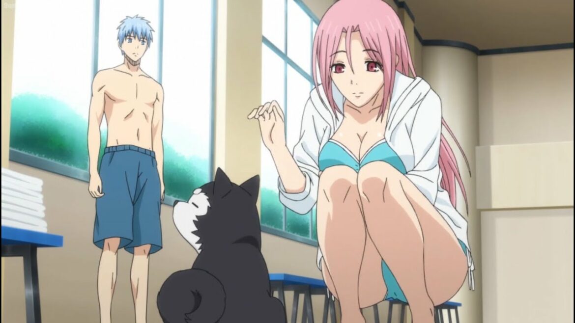 黒子のバスケ || 黒子は彼女にそっくりな犬に出くわす  , Kuroko comes across a dog that looks exactly like her