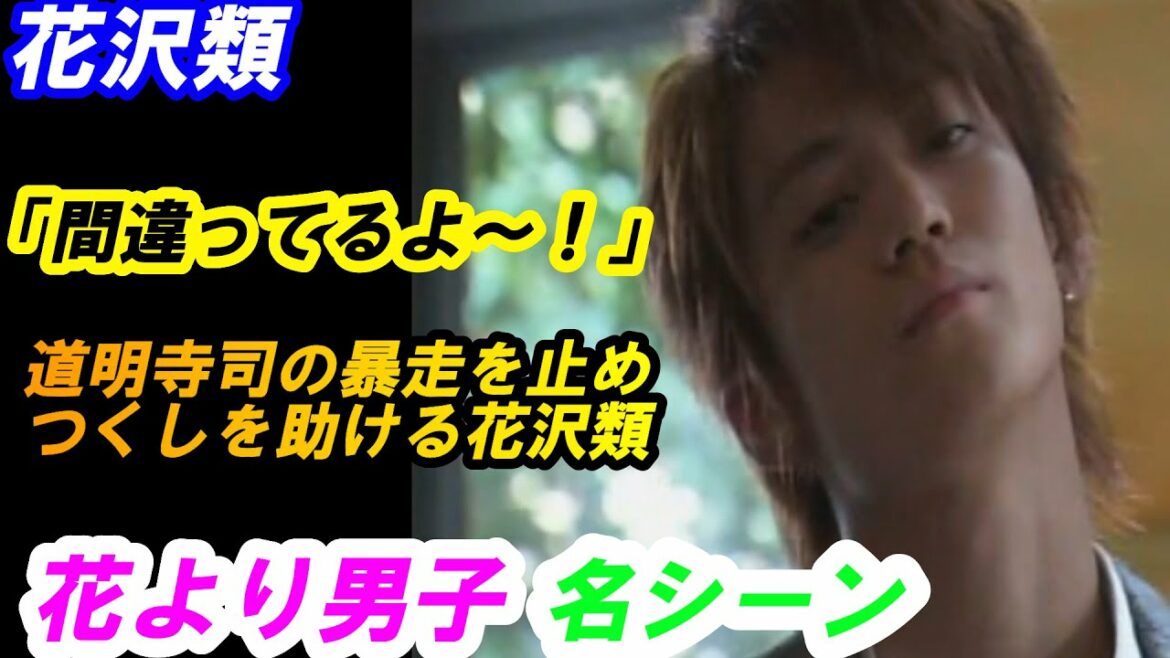 花より男子  花沢類 「間違ってるよ~!」
