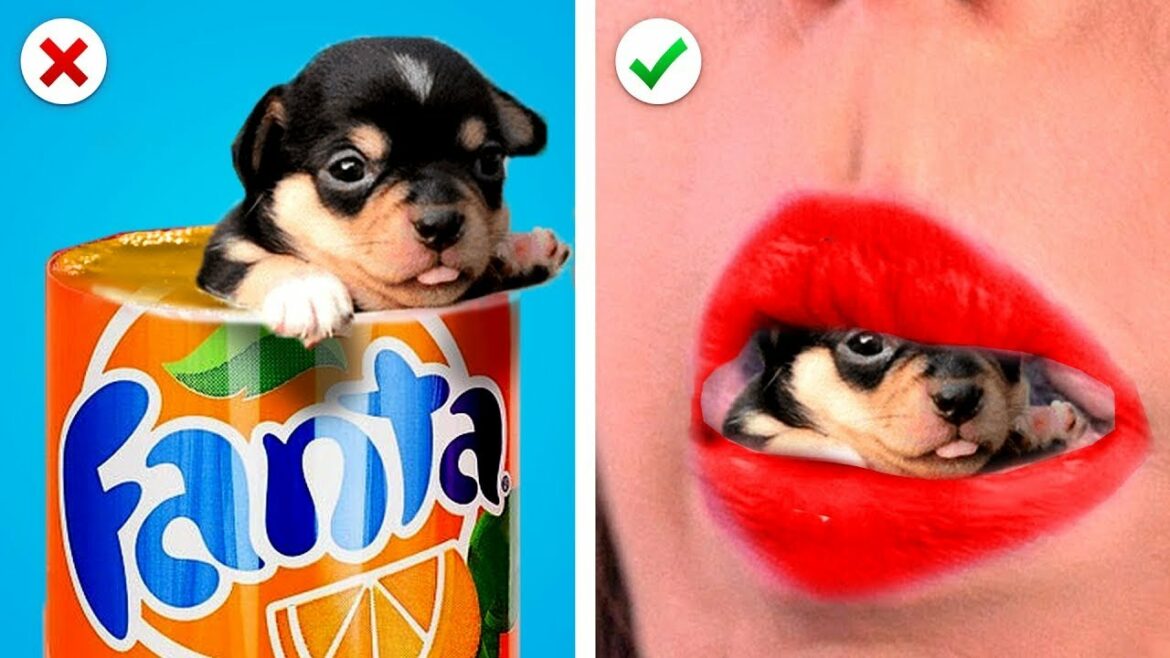 FUNNY Ways To SNEAK PETS | Awesome Pet Sneaking Ideas & Funny Situations by KABOOM!