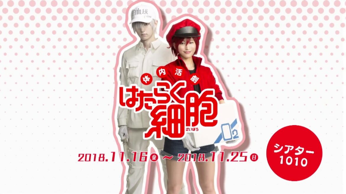 体内活劇「はたらく細胞」公演告知ムービー(30秒)