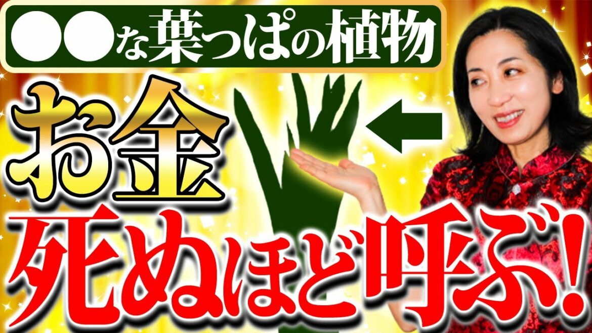 貧乏神を駆逐する!その鍵は〇〇の植物にあった…  京都の風水師 天野ちえりでございます