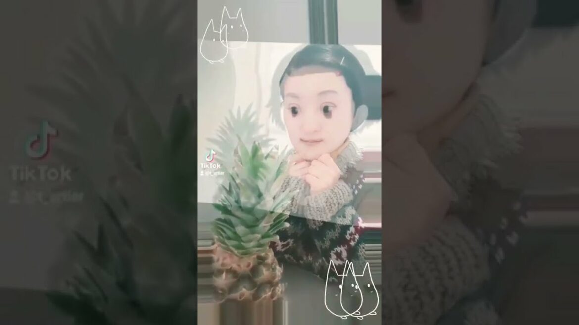 タエ子🍍おもひでぽろぽろ 【 Taeko Only Yesterday STUDIO GHIBLI 】スタジオジブリ