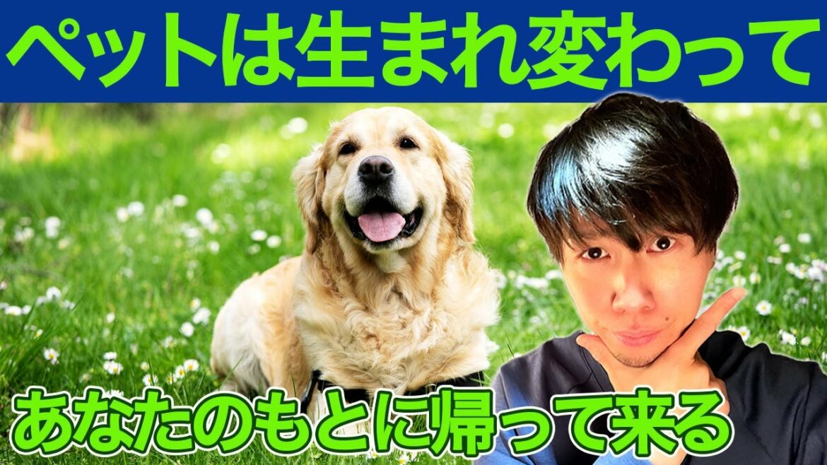 【ペットの魂】ペットの死が持つ意味。ペットがあなたと出会った理由、お話しします。